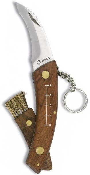 Couteau Champignon 17,5cm + Brosse + Réglette + étui 2 Couteau Champignon 17,5cm + Brosse + Réglette + étui – Image 2