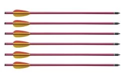 Lot 6 Traits Flèches ALU 42,5cm Pour Arbalète